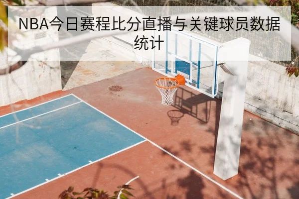 NBA今日赛程比分直播与关键球员数据统计